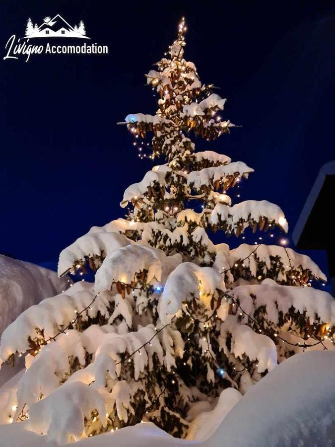 Alpen Royal By Livigno Accomodation Exterior photo